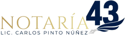 Logo Dark